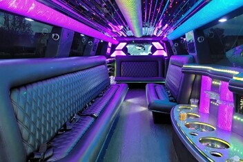 Deltona Limo Interior